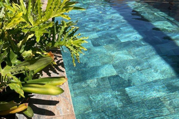 WhatsApp Image 2026-02-10 at 18.52.08