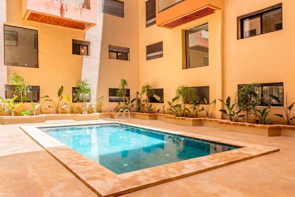 WhatsApp Image 2026-02-11 at 12.27.21