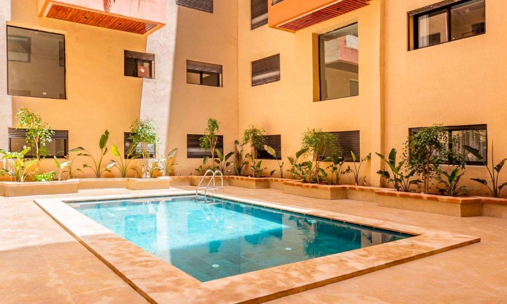 WhatsApp Image 2026-02-11 at 12.27.21