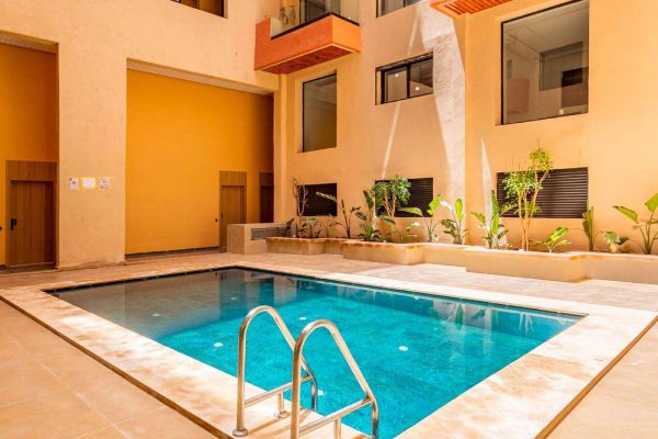 WhatsApp Image 2026-02-11 at 12.27.22 (1)