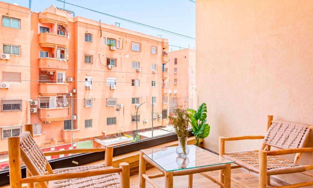 WhatsApp Image 2026-02-11 at 12.27.22