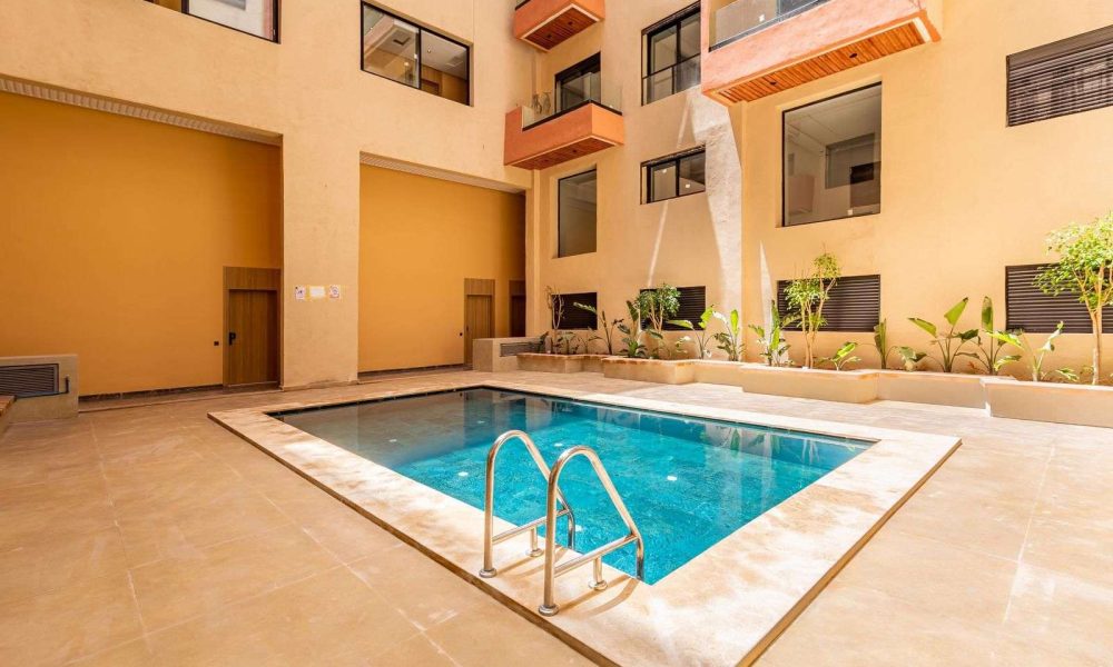 WhatsApp Image 2026-02-11 at 12.27.38 (1)