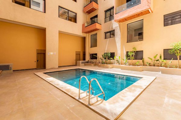 WhatsApp Image 2026-02-11 at 12.27.45 (2)