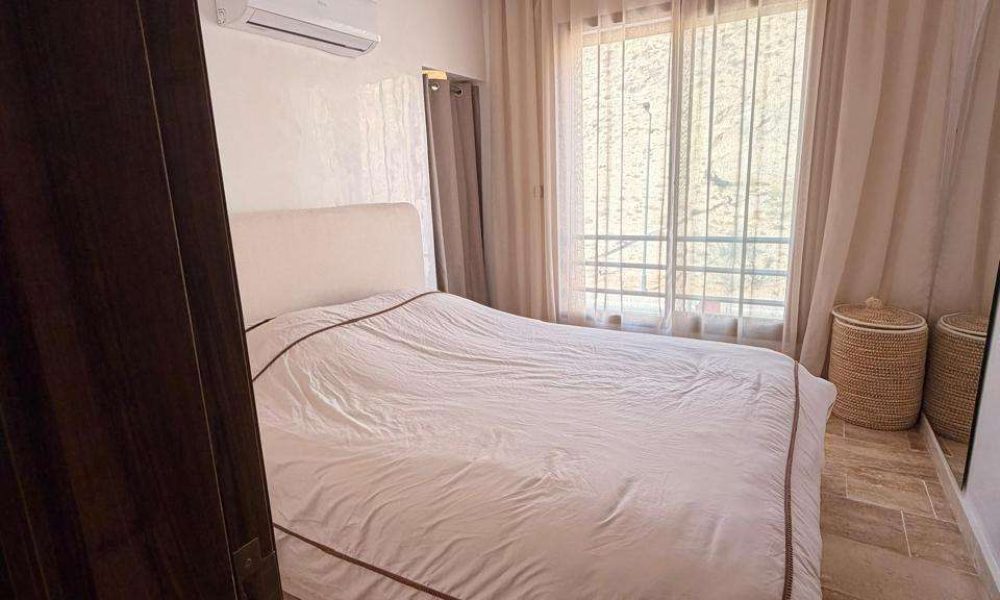 WhatsApp Image 2026-02-11 at 12.28.07 (1)