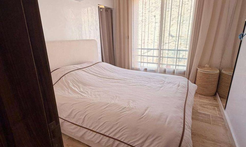 WhatsApp Image 2026-02-11 at 12.28.07